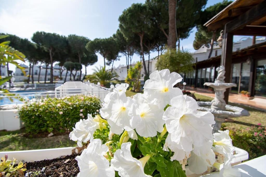Casadelsol-marbella-slonce,piasek,szmaragdowa Woda Apartment *