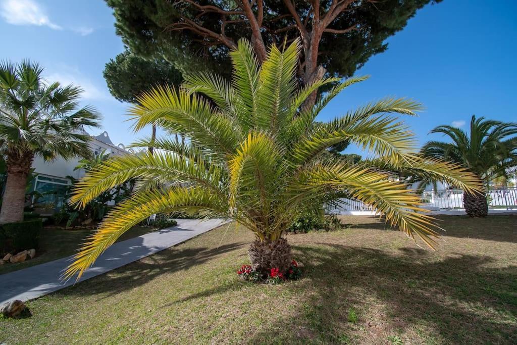 Casadelsol-marbella-slonce,piasek,szmaragdowa Woda Apartment