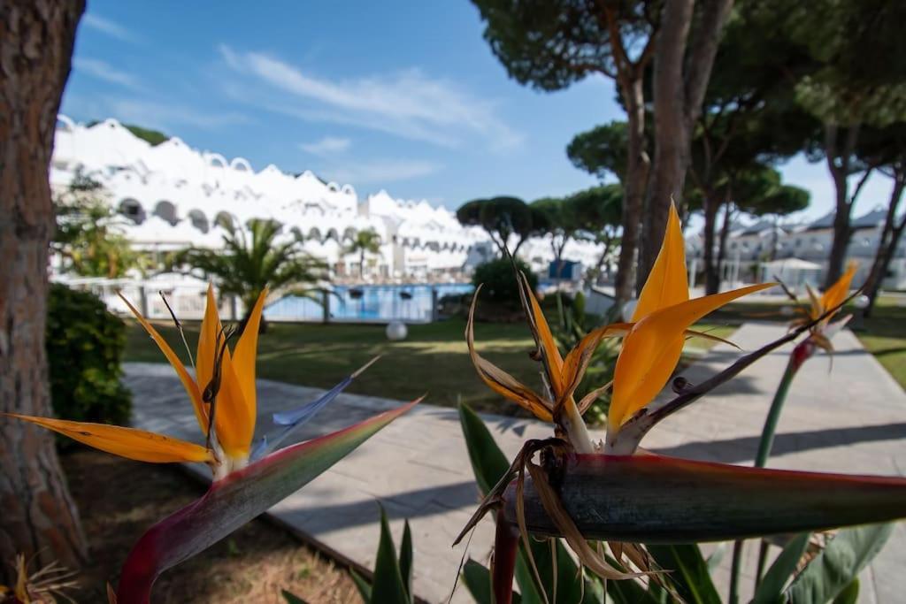 Casadelsol-marbella-slonce,piasek,szmaragdowa Woda Marbella