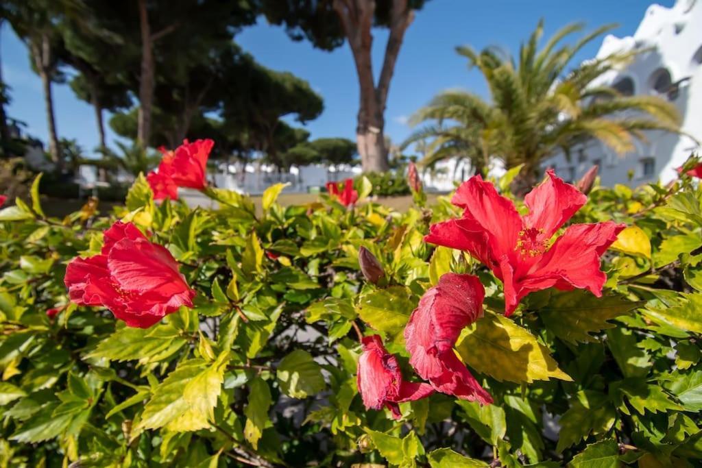Casadelsol-marbella-slonce,piasek,szmaragdowa Woda